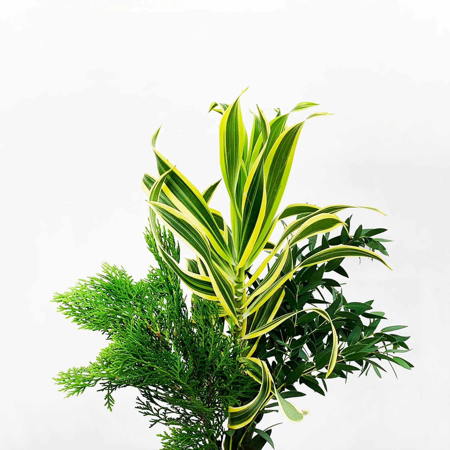 Foliage Mix Flowers (Assorted)