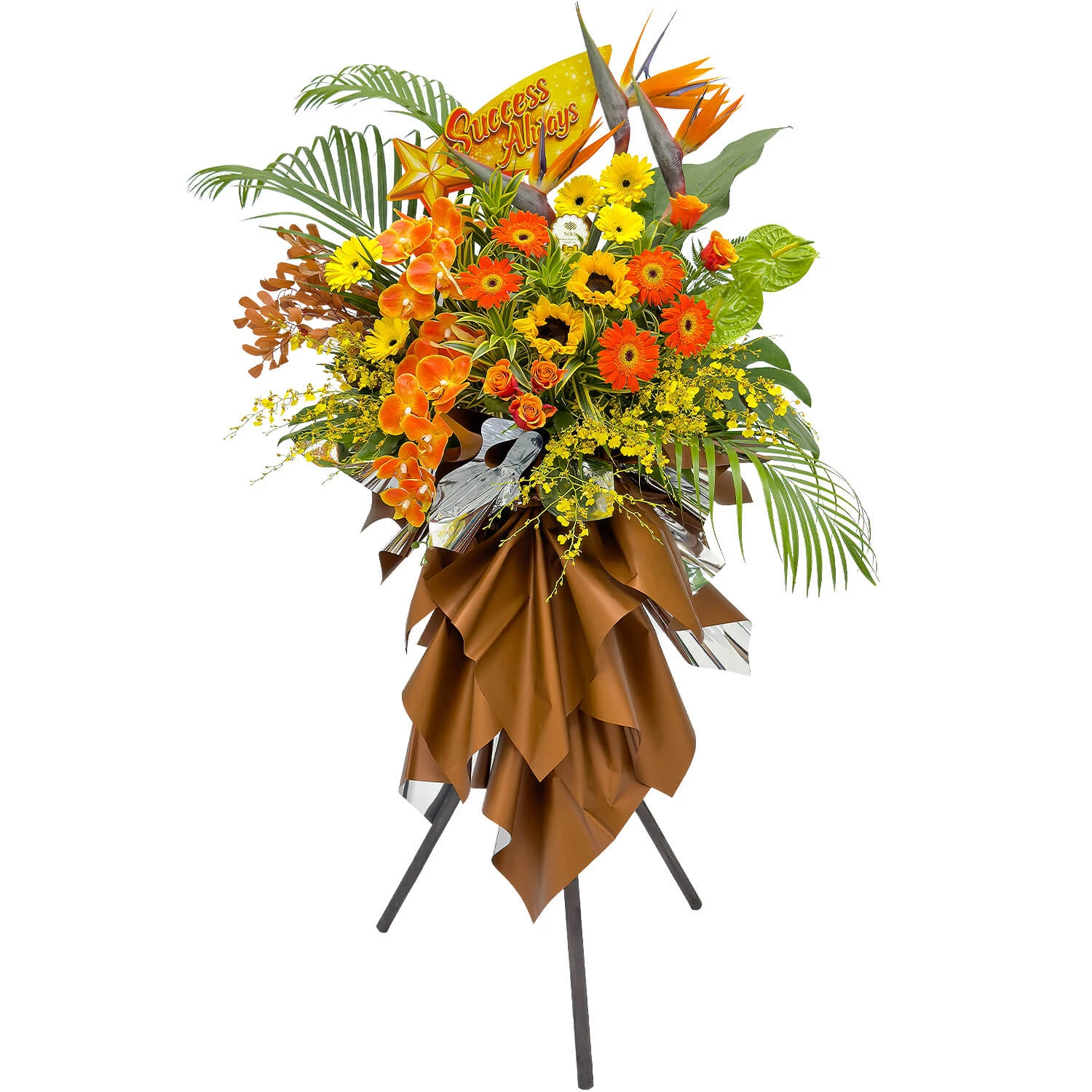 Sunlit Summit Congratulatory Flowers
